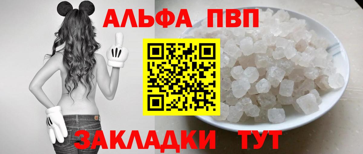 Альфа ПВП СК КРИС Беслан